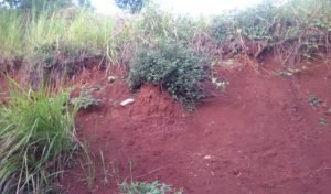 Terus Mengalami Pengikisan, Warga Batujaya “Khawatir” Tanggul Citarum Jebol Lagi