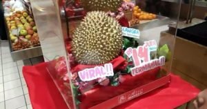 Durian Seharga Rp 14 Juta itu Ternyata Pohonnya Hanya Berbuah 3 Tahun Sekali