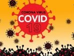 Up Date Covid-19 Karawang per 16 Mei