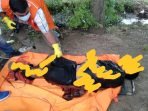 Jasad Tanpa Identitas di Cilamaya Kulon Ternyata Korban Penculikan